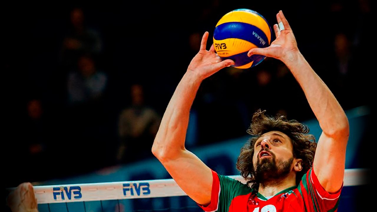 the setter